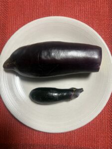 新潟市北区の大きな「やきなす」と一般的な茄子の大きさ比較